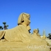 temple_luxor_lux_h_0085_egy3554.jpg